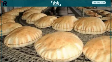 صناعة الحبوب تؤكد ثبات سعر الخبز مع دعم بطاقة التموين بعد تعديل الطحين